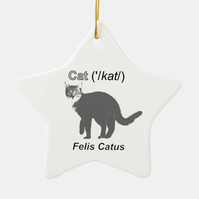 Ornement En Céramique Chat Felis Catus (Devant)