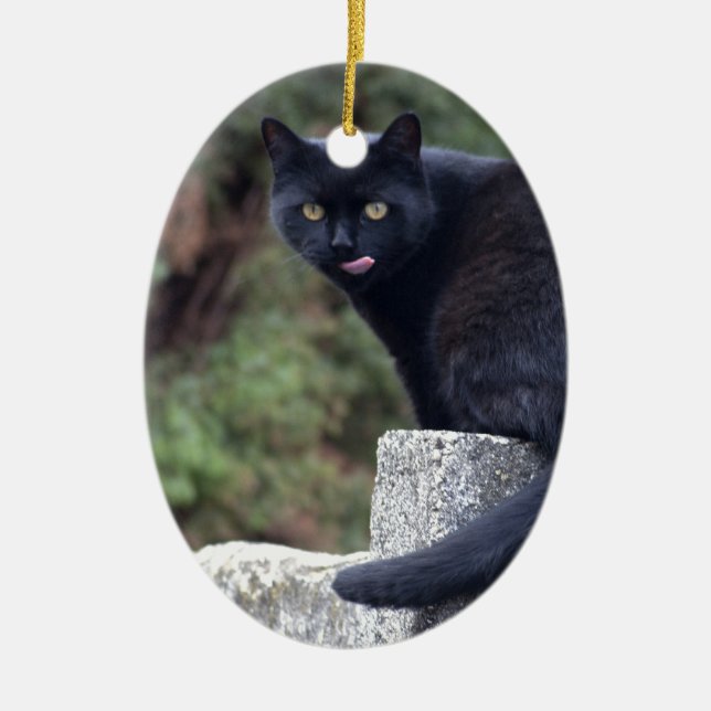 Ornement En Céramique Chat noir (Devant)