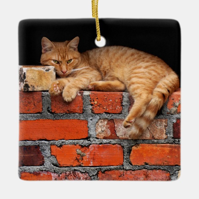 Ornement En Céramique Chat sur mur de brique (Devant)