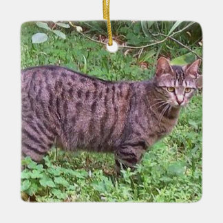 Ornement En Céramique Chat tigré Brown dehors