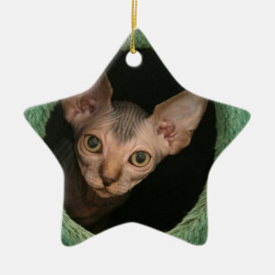 Ornement En Céramique Chaton mignon de sphynx
