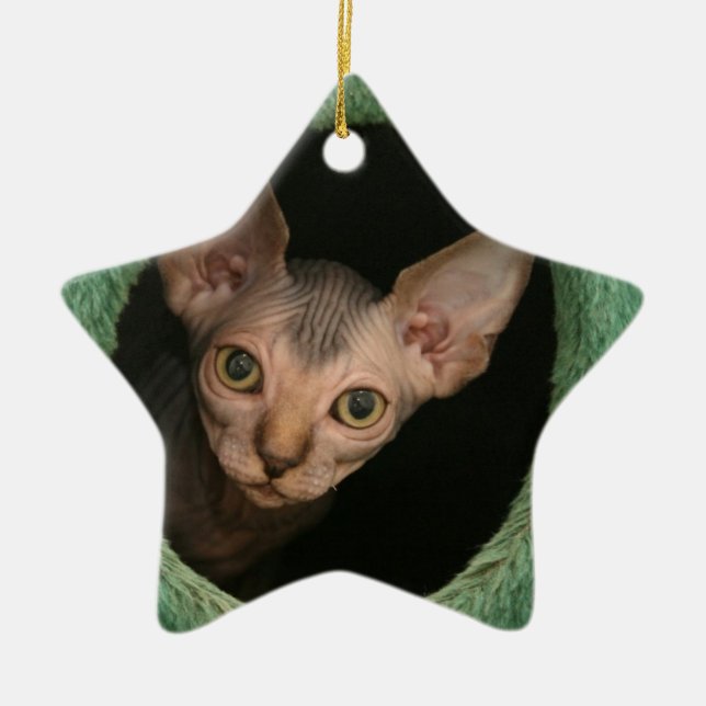 Ornement En Céramique Chaton mignon de sphynx (Devant)