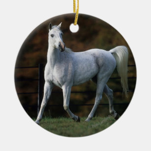 Ornement En Céramique Cheval arabe courant 1