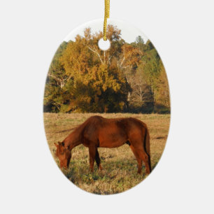 Ornement En Céramique Cheval Brown dans le champ d'arbre jaune