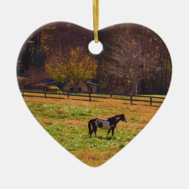 Ornement En Céramique Cheval peint à distance (Devant)