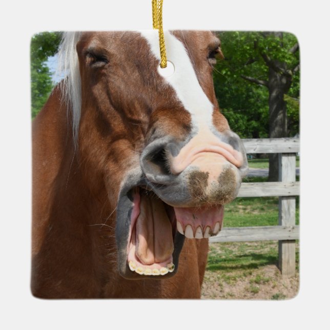 Ornement En Céramique Cheval riant drôle (Devant)