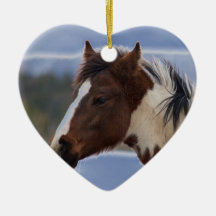 Cheval Tri Coloré