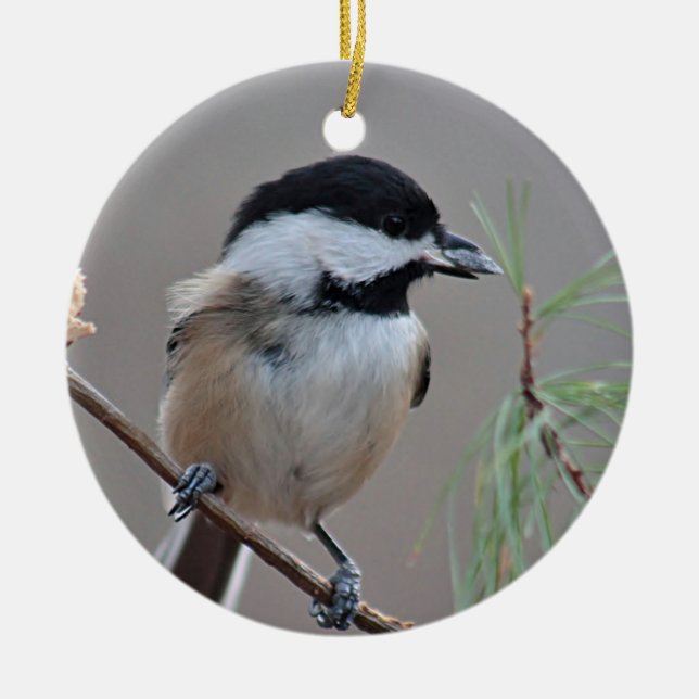 Ornement En Céramique Chickadee (Devant)