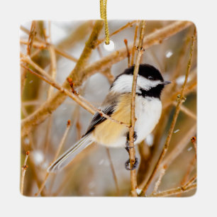 Ornement En Céramique Chickadee au plafond noir - Photo originale