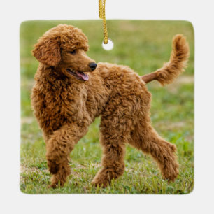 Ornement En Céramique Chien à chiots roux