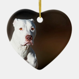 Ornement En Céramique Chien blanc de délivrance de Pitbull Terrier
