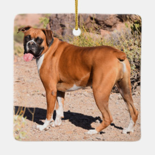 Ornement En Céramique Chien de chiot blanc et de chien de boxe