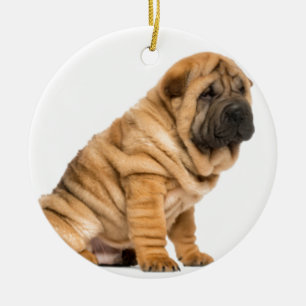 Ornement En Céramique Chien de pei de Shar