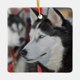 Ornement En Céramique Chien husky avant une course, Canada