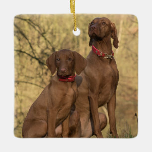 Ornement En Céramique Chiens à dos de Vizsla