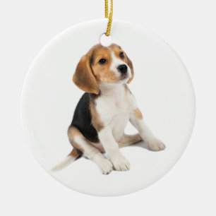 Ornement En Céramique Chiot Beagle