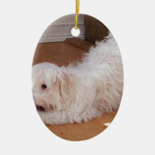 Ornement En Céramique Chiot blanc de Havanese jouant avec la boule rouge
