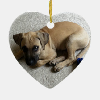 Ornement En Céramique chiot de cabot de Noir-bouche avec le jouet bleu