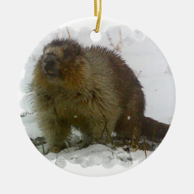 Ornement En Céramique Classic Beaver Ornament (Devant)