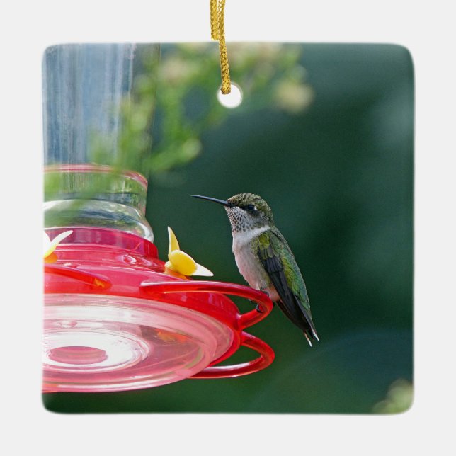 Ornement En Céramique Colibri perché (Devant)