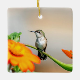 Ornement En Céramique Colibri sur un plante à fleurs