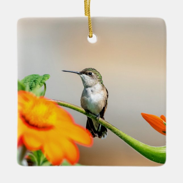 Ornement En Céramique Colibri sur un plante à fleurs (Devant)
