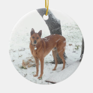 Ornement En Céramique Collection de Noël dans la mémoire du champion
