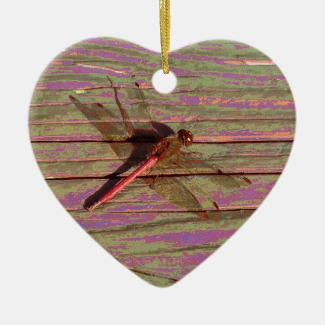 Ornement en céramique colorée de libellule (Devant)