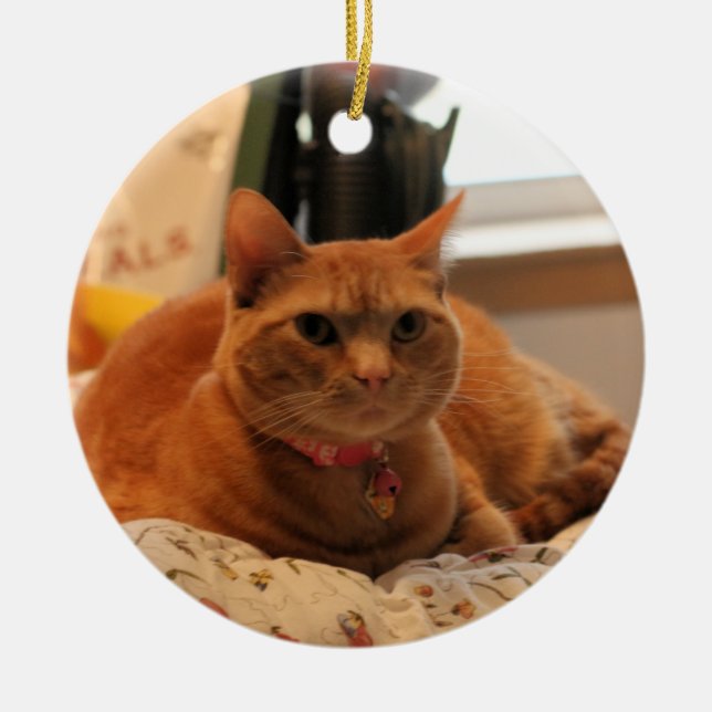 Ornement En Céramique Combattre le chat (Devant)