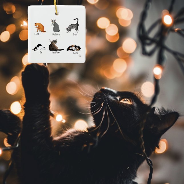 Ornement En Céramique Commandes Cat (Créateur téléchargé)