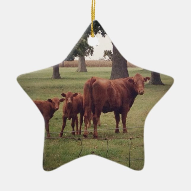 Ornement En Céramique Comment maintenant vaches Brown (Devant)