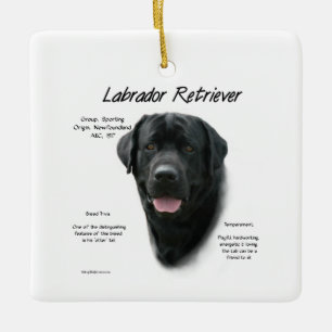 Ornement En Céramique Conception de l'historique du Labrador Retriever (