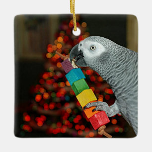 Ornement En Céramique Congo African Grey Parrot Joyeux sapin de Noël