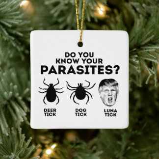 ORNEMENT EN CÉRAMIQUE CONNAISSEZ VOS PARASITES