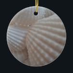 Ornement En Céramique Coquillages blancs ensoleillés, Sea Shell Beach ét<br><div class="desc">Coquillages blancs ensoleillés,  Sea Shell Beach été amour</div>