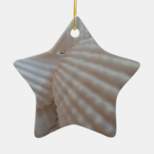 Ornement En Céramique Coquillages blancs ensoleillés, Sea Shell Beach ét