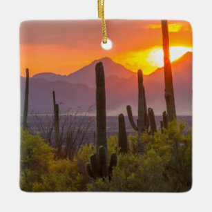 Ornement En Céramique Coucher de soleil de cactus du désert, Arizona