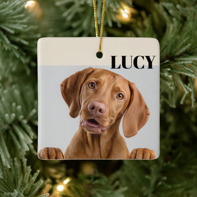 Ornement En Céramique Custom Christmas Photo Ornament Dog & Name (Arbre)