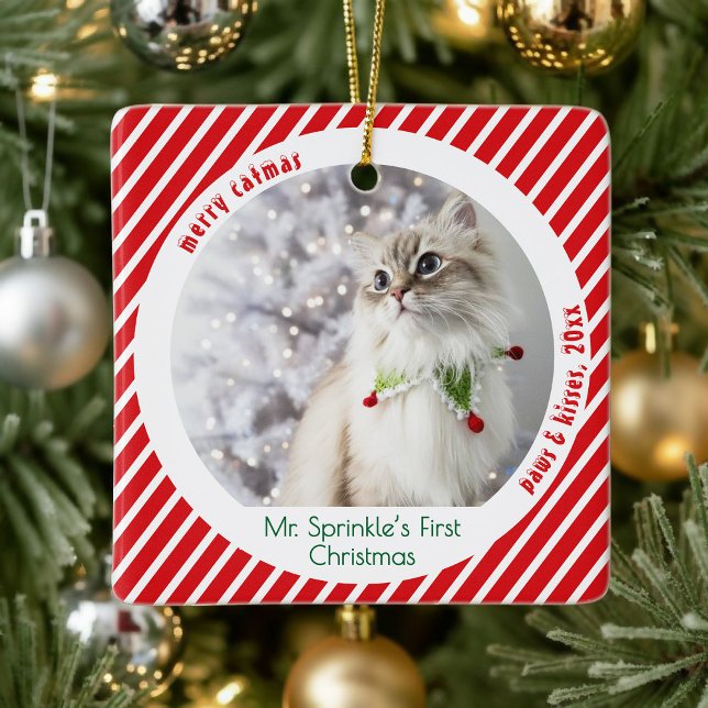 Ornement En Céramique Cute Cats First Christmas Festive Keepsake  (Créateur téléchargé)