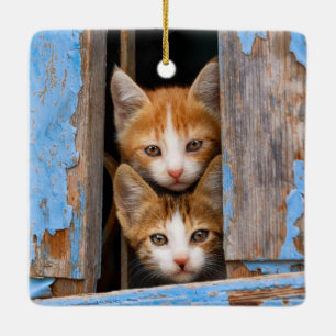 Ornement En Céramique Cute chatte chatons dans une fenêtre Vintage bleu