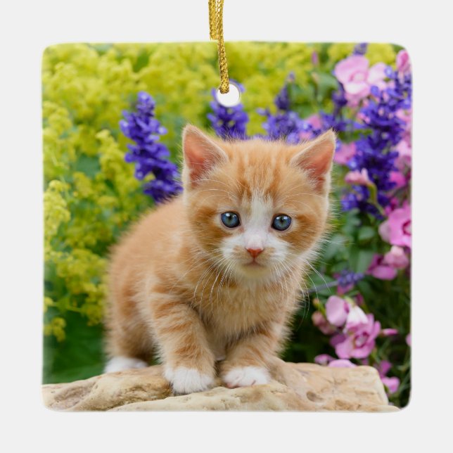 Ornement En Céramique Cute Fluffy Ginger Baby Cat Kitten in Flowers Pet (Devant)