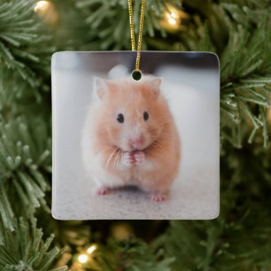 Ornement En Céramique Cute Hamster Love Animals