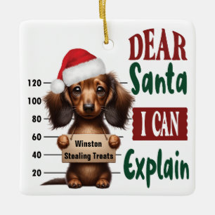Ornement En Céramique Dachshund Mug Tiré : Cher Père Noël, Je Peux Expli
