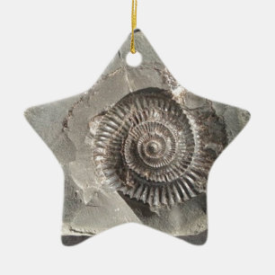 Ornement En Céramique Dactylioceras ammonite dans la roche