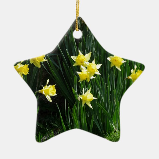 Ornement En Céramique Daffodiques de printemps (Devant)