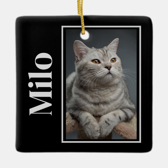 Ornement En Céramique De L'Autre Côté Du Rainbow Bridge Silver Pet Cat M (Devant)