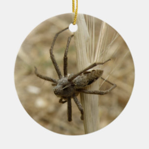 Ornement En Céramique Déplaisant Crawly Spider Personnalisé Anniversaire