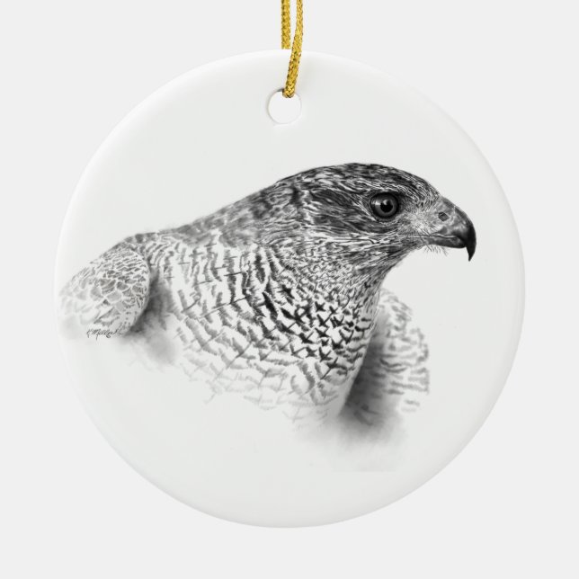 Ornement En Céramique Dessin Goshawk (Devant)