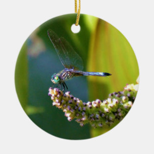 Ornement En Céramique Dragonfly aux yeux turquoises