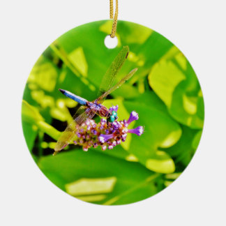 Ornement En Céramique Dragonfly de couleur arc-en-ciel sur une fleur ros